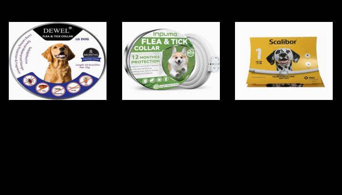 El Mejor 10 collares antipulgas para perros de 2024: El Veredicto de Los Expertos